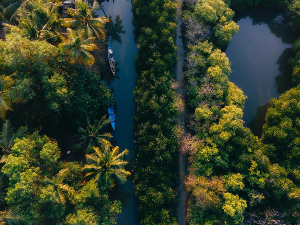 Ashtamudi Lake & Munroe Island: Kerala's serene duo beckons. Nature's poetry unfolds in every ripple - Skybirdstravels.com